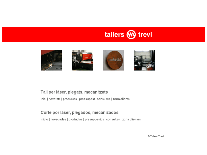 www.tallerstrevi.com