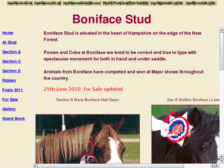 www.bonifacestud.com