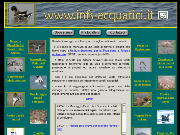 www.infs-acquatici.it