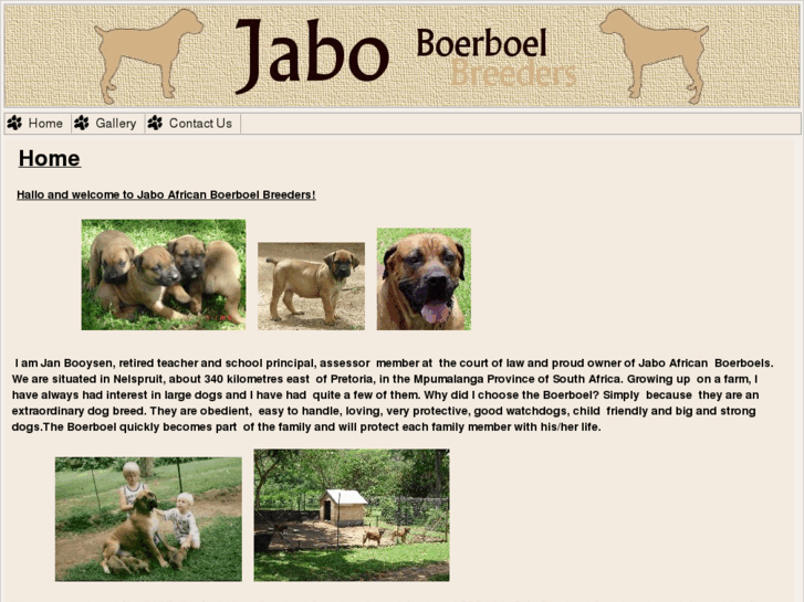 www.jabo.co.za