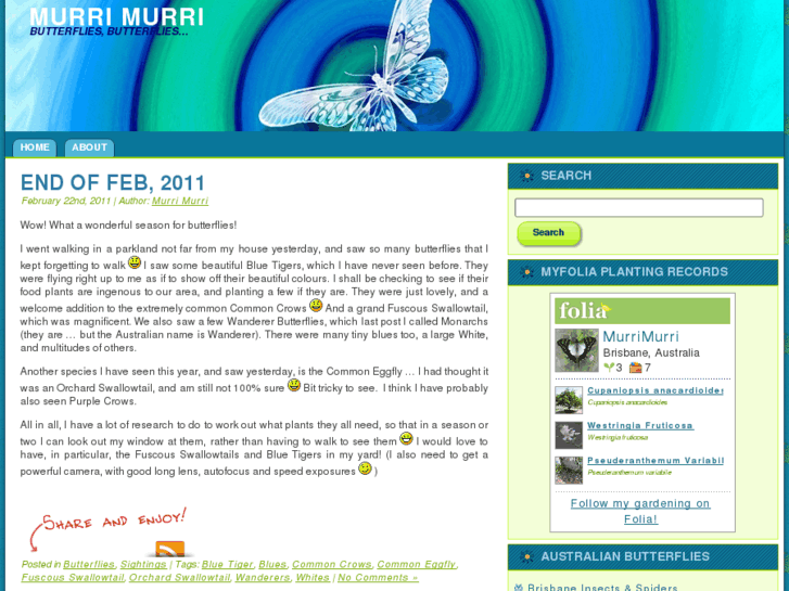 www.murrimurri.com