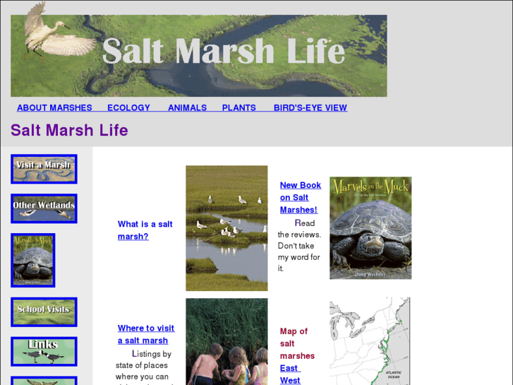 www.saltmarshlife.com