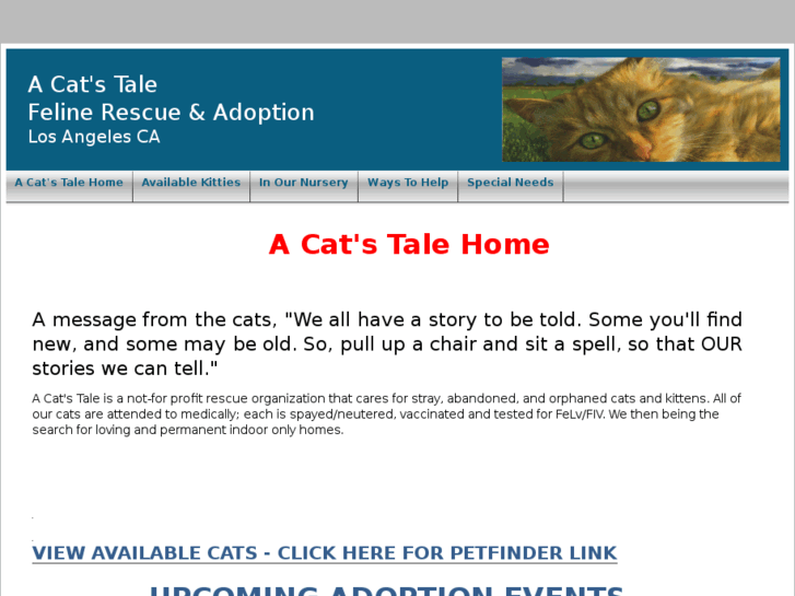 www.acatstale.com