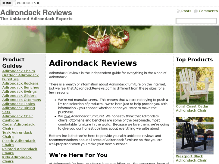 www.adirondackreviews.com