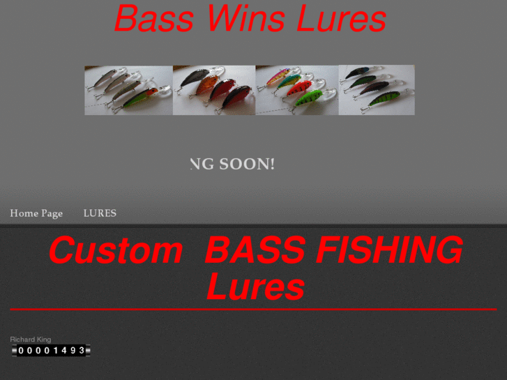 www.basswins.com