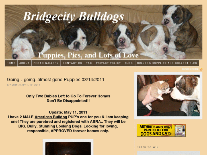 www.bridgecitybulldogs.com