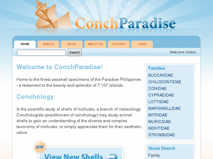 www.conchparadise.com