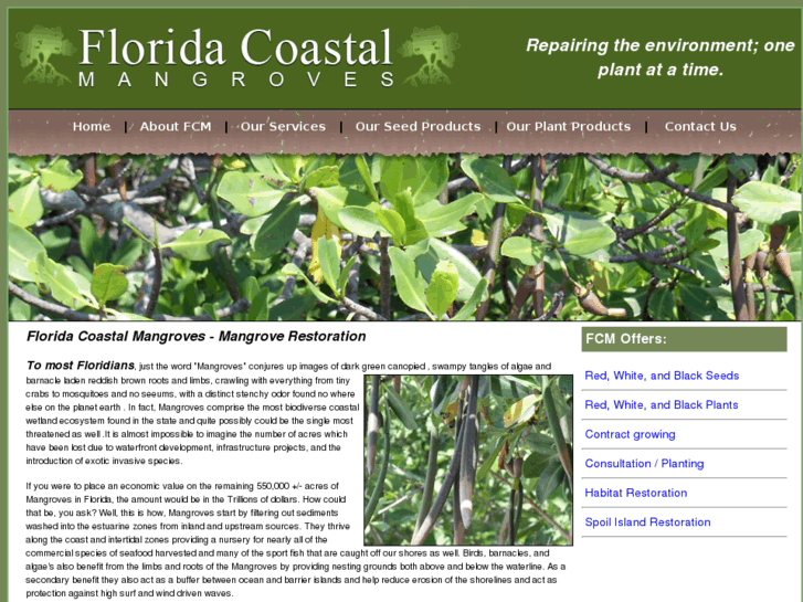 www.floridacoastalmangroves.com