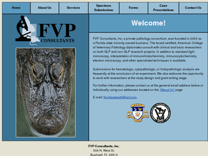 www.fvpconsultants.com