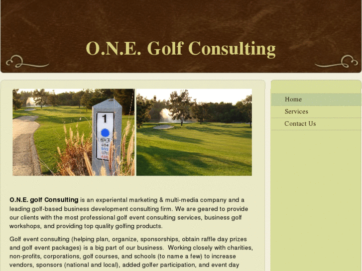 www.onegolfconsulting.com