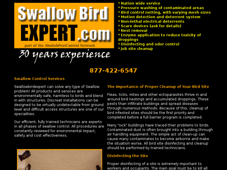 www.swallowbirdexpert.com