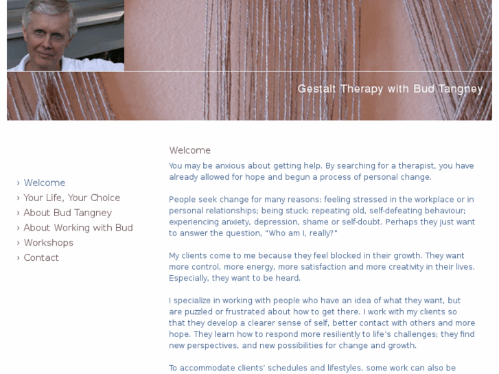 www.budtherapytoronto.com