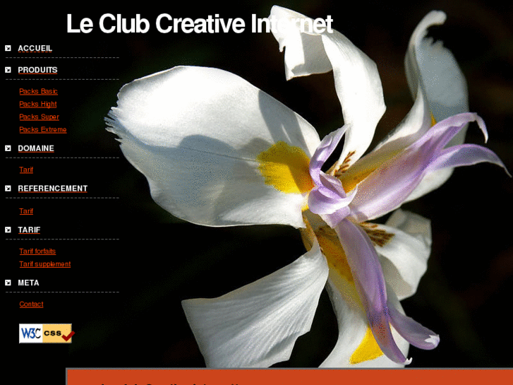 www.club-creative-internet.fr