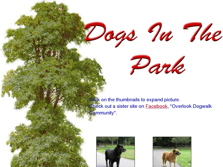 www.dogsinthepark.info