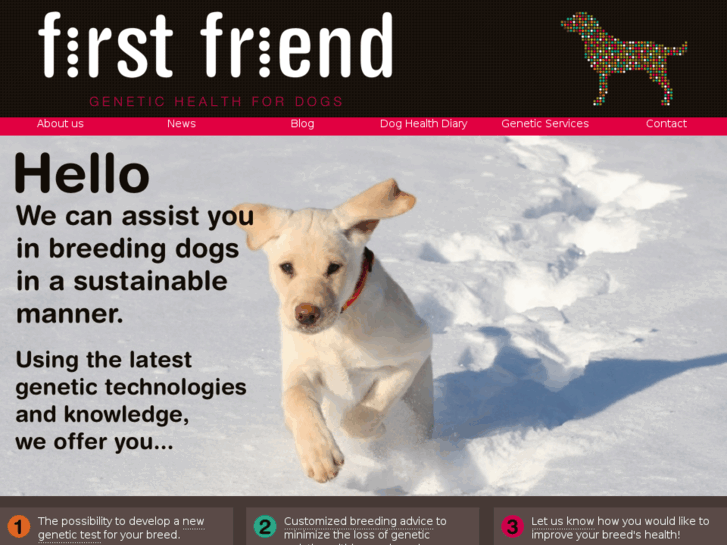 www.firstfriend.com