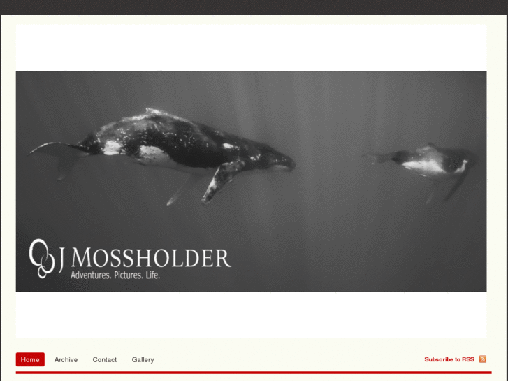 www.jmossholder.com