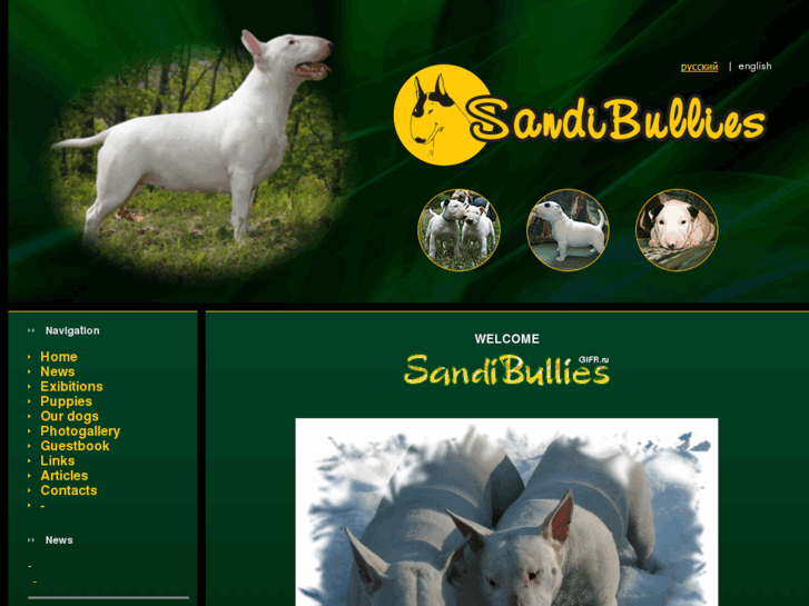 www.sandibullies.com