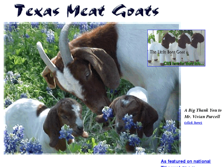 www.texasmeatgoats.com