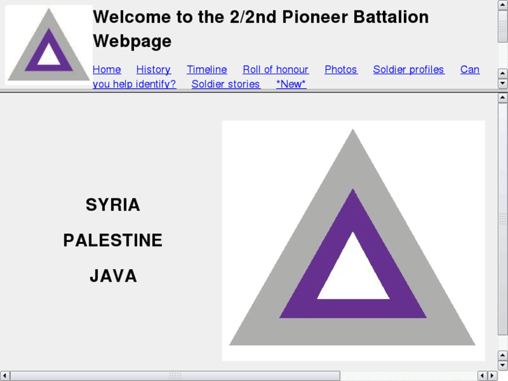 www.2nd2ndpioneerbattalion.com