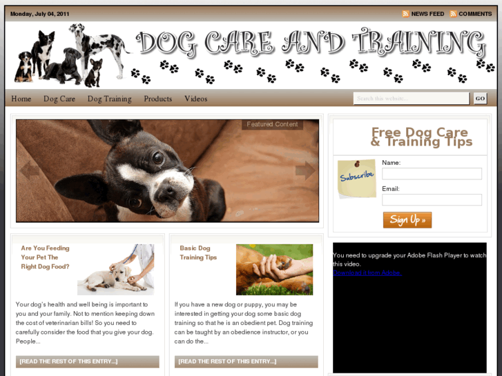 www.dogcare-dogtraining.com