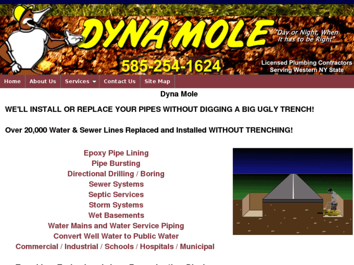 www.dynamole.com