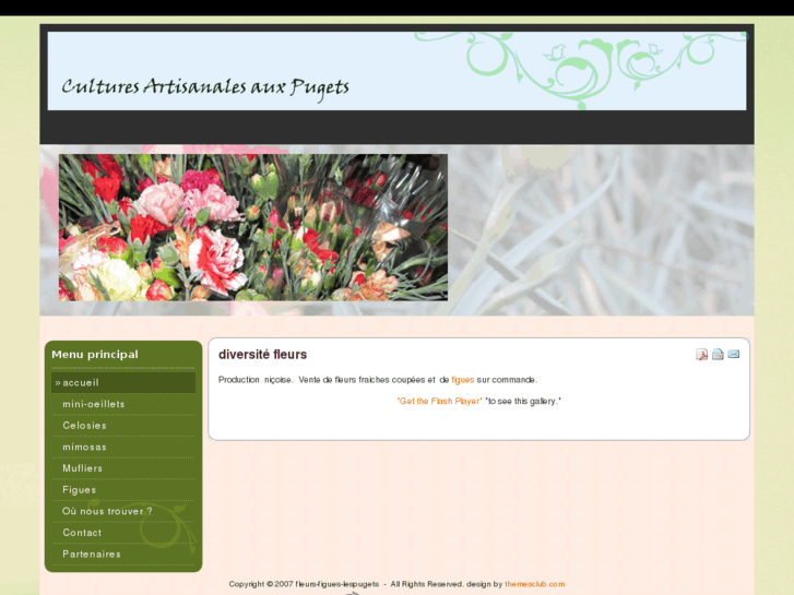 www.fleurs-figues-lespugets.com