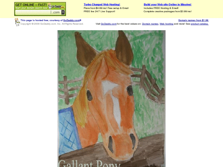 www.gallantpony.org