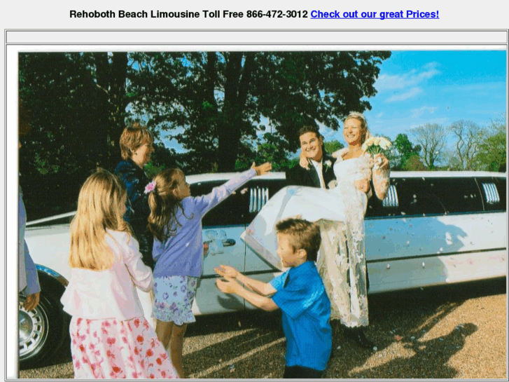 www.rehobothbeachlimousine.com