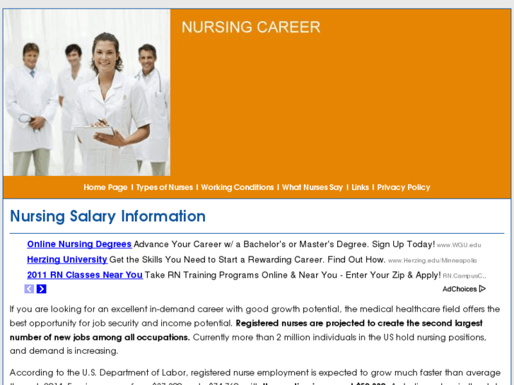 www.e-nursing-career.com