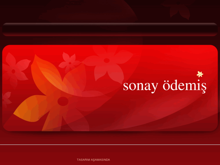 www.sonayodemis.com