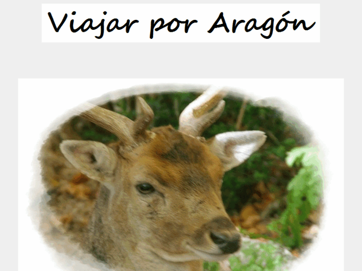 www.viajarporaragon.com