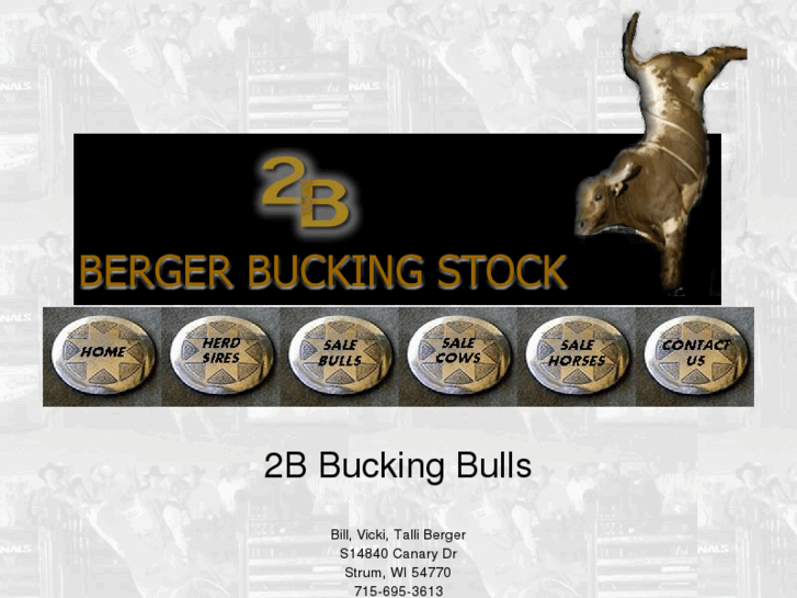 www.2bbuckingbulls.com