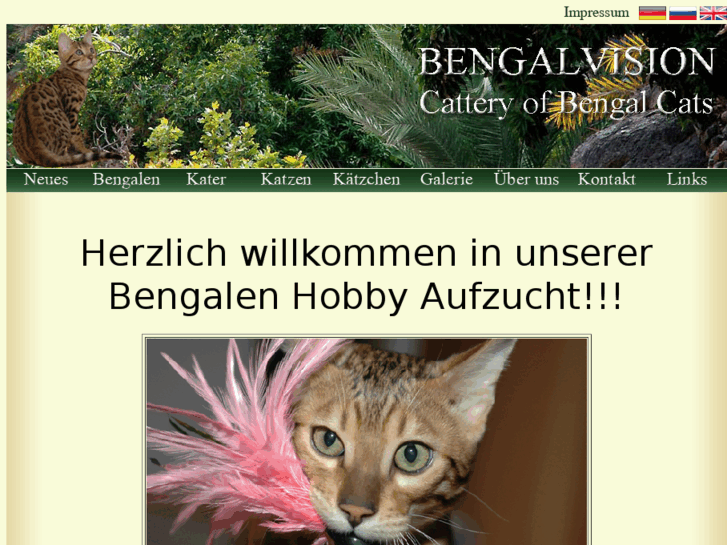 www.bengalvision.de