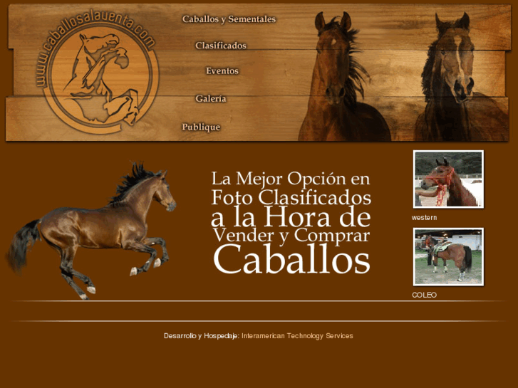 www.caballosalaventa.com