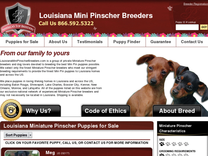 www.louisianaminipinscherbreeders.com