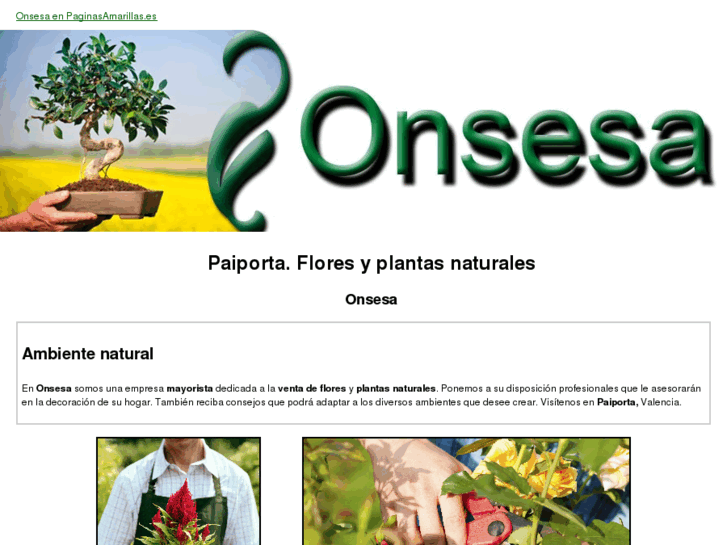 www.onsesa.com