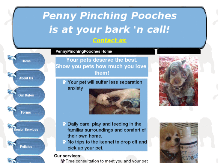 www.pennypinchingpooches.com