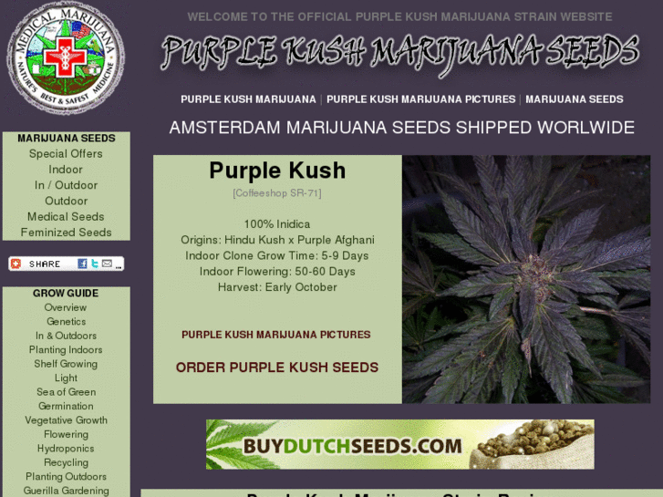 www.purplekushseeds.com