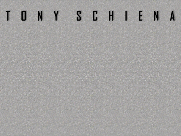 www.tonyschiena.com