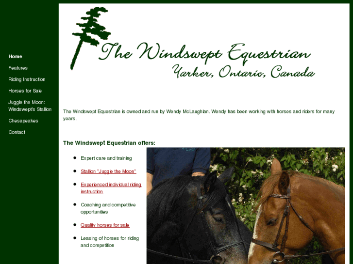 www.windsweptequestrian.com