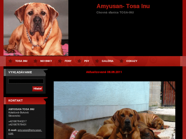 www.amyusan.com