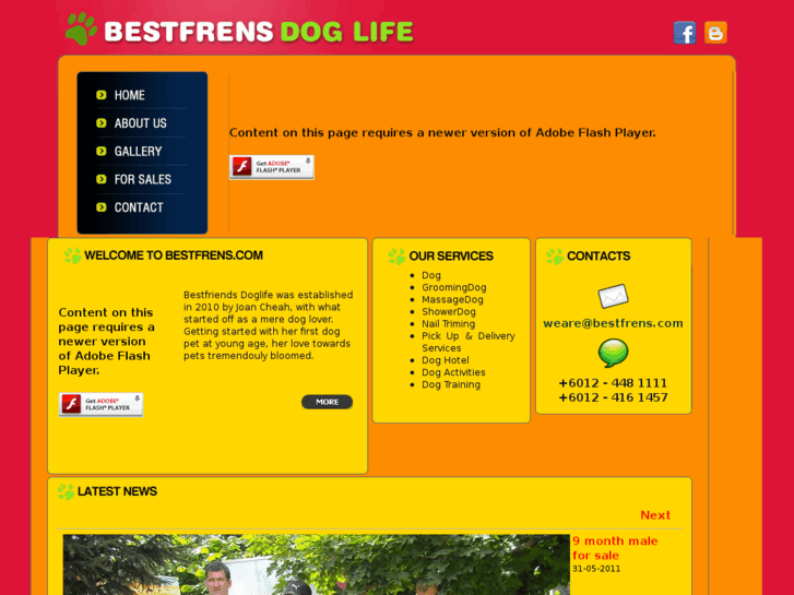 www.bestfrens.com