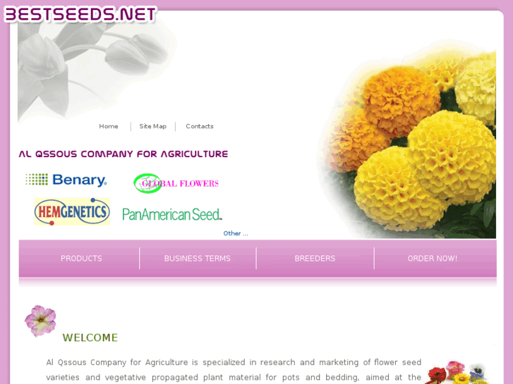 www.bestseeds.net