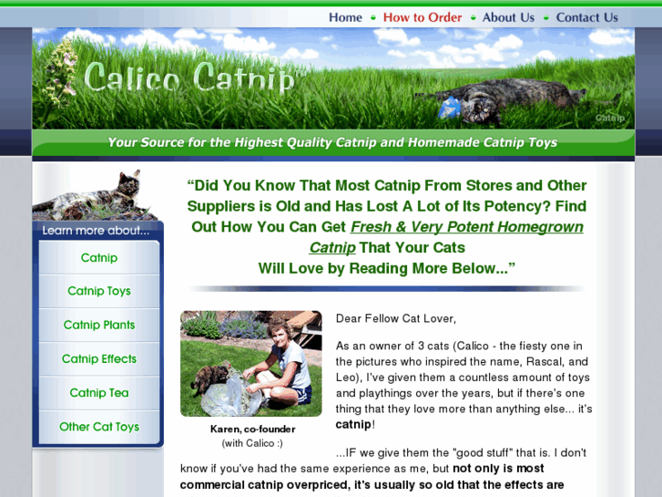 www.calicocatnip.com