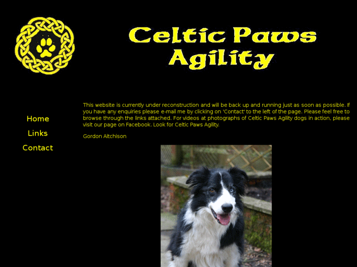 www.celticpaws.com