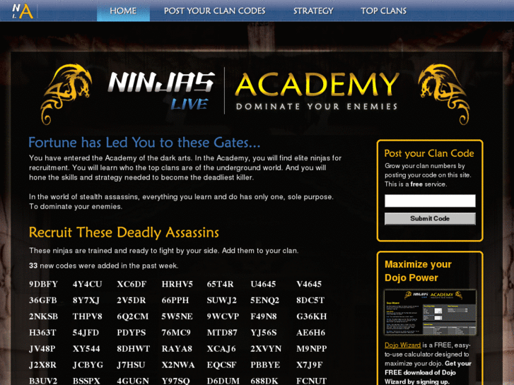 www.ninjasliveacademy.com