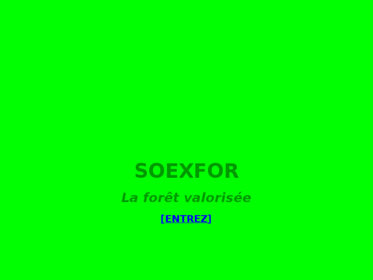 www.soexfor.com