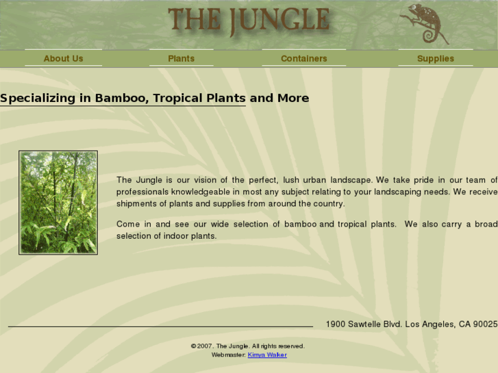 www.thejungle.biz