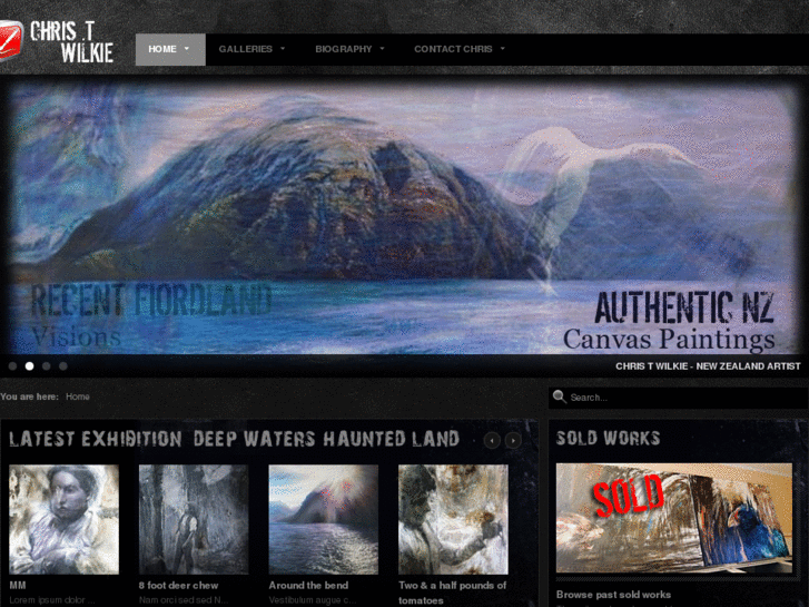 www.chriswilkie.info