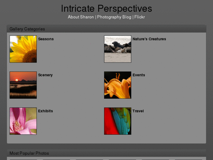www.intricateperspectives.com